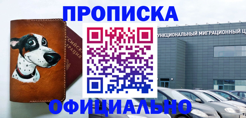 временная прописка в Волосово